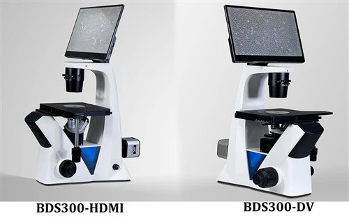 Neues invertiertes biologisches Mikroskop mit Monitor