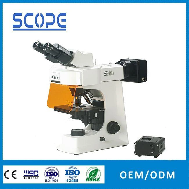 smart-fl Biological Fluorescence Microscope
