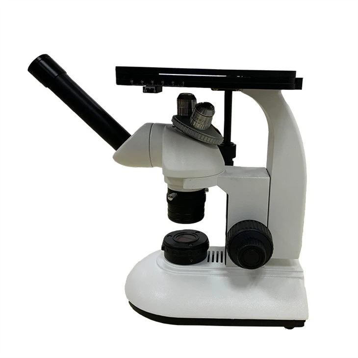single head metallographic inverted microscope on sale