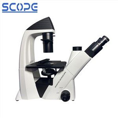 Inverses Mikroskop mit Phasenkontrastverfahren